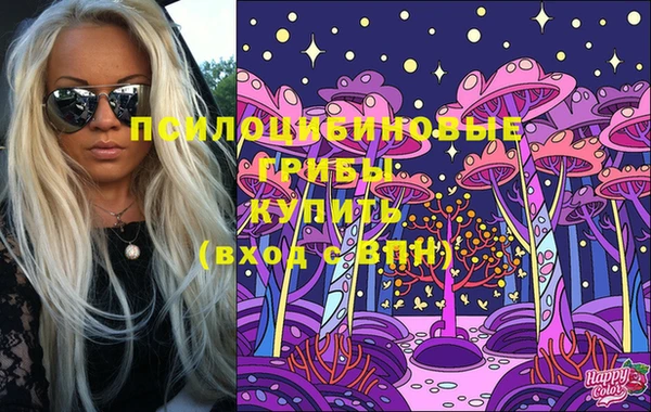 прущие грибы Богданович
