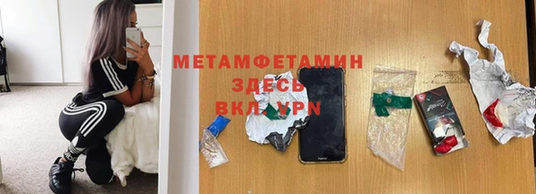 прущие грибы Богданович