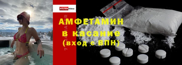 прущие грибы Богданович