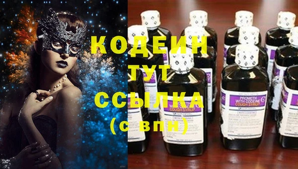прущие грибы Богданович