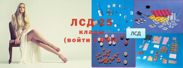 тгк Богородицк