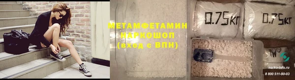 прущие грибы Богданович