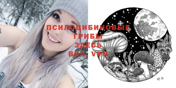 прущие грибы Богданович