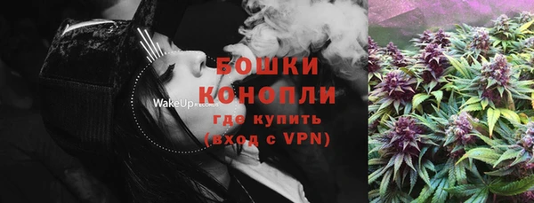 прущие грибы Богданович