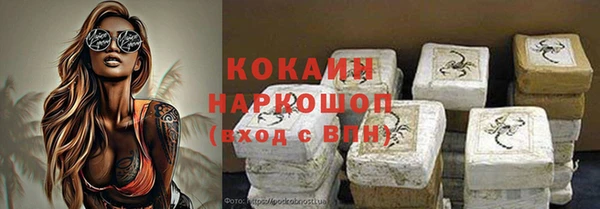 прущие грибы Богданович