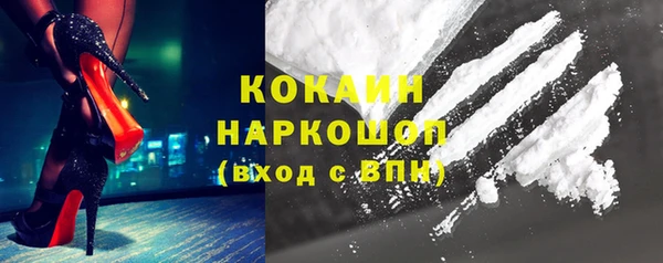 тгк Богородицк