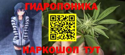 прущие крисы Ачхой-Мартан