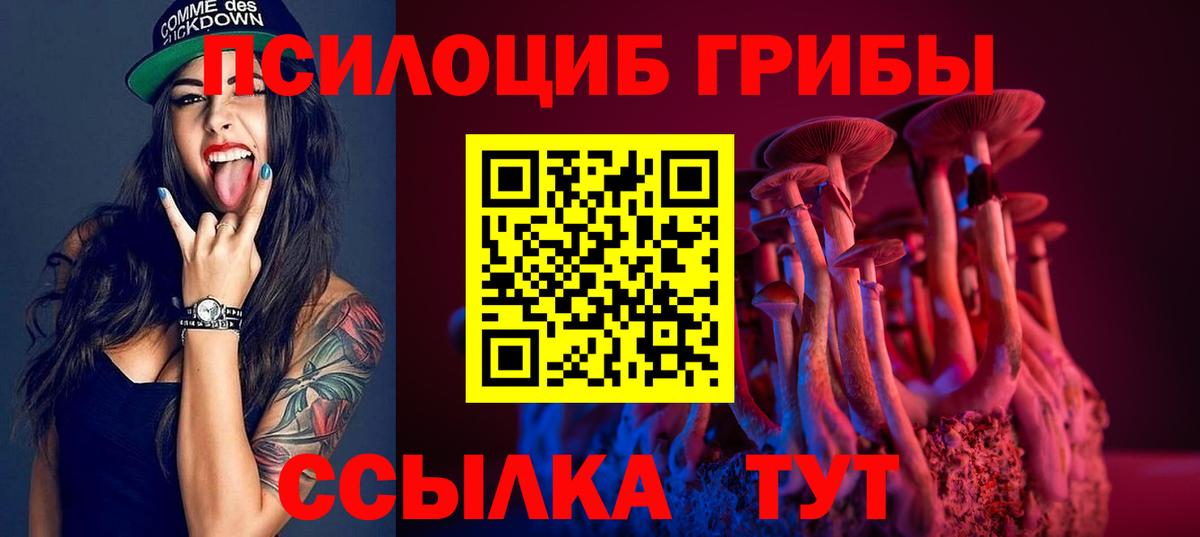 Псилоцибиновые грибы Psilocybine cubensis  Вход с VPN  Маркс 
